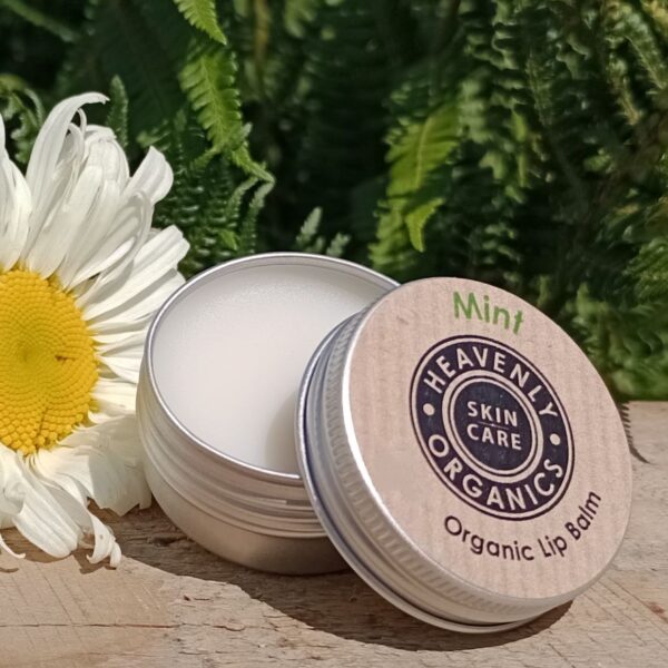 Organic Mint Lip Balm