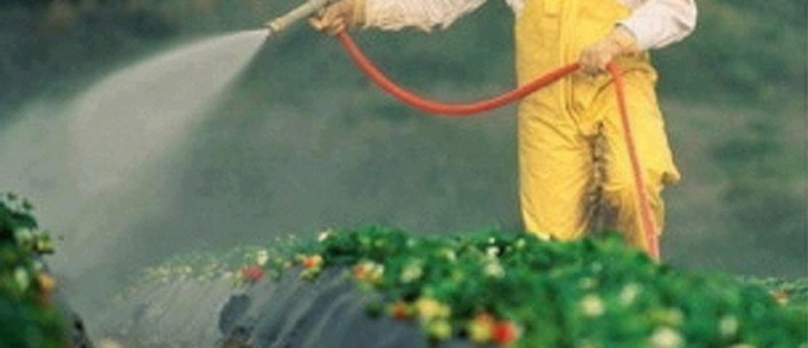 pesticides in food