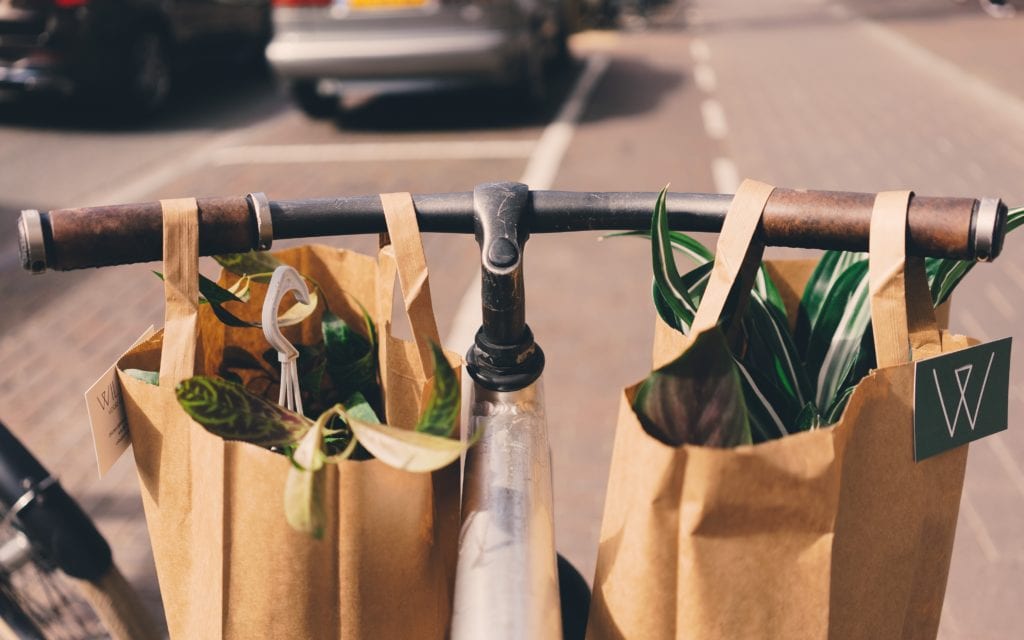 eco shopping